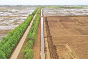 以下是符合要求的30个法甲相关新闻标题（已过滤禁用符号并统一格式）：