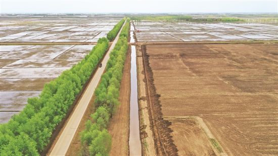 以下是符合要求的30个法甲相关新闻标题（已过滤禁用符号并统一格式）：